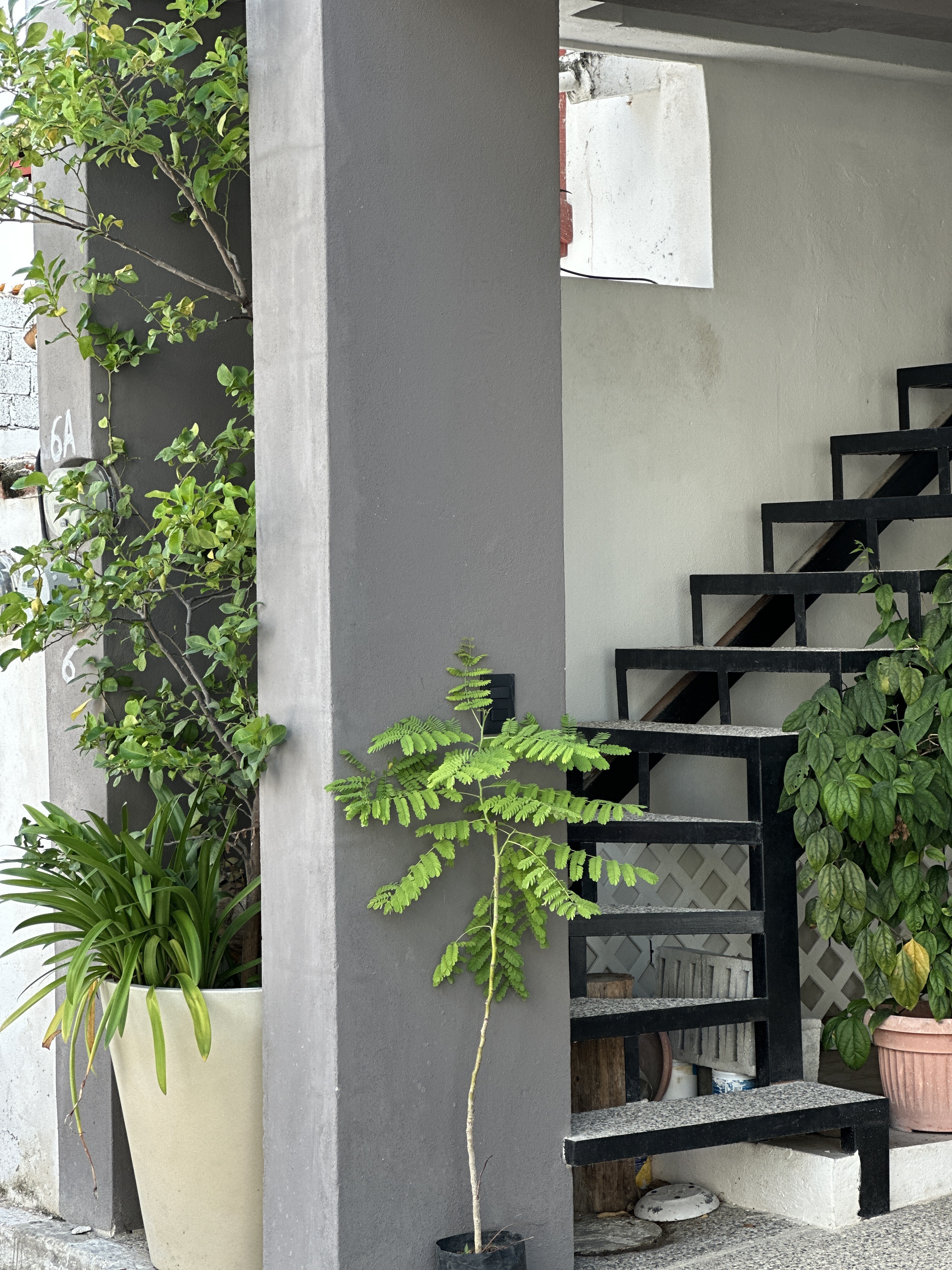 Exterior de Casa Manglar — fachada verde con celosía artesanal en segundo nivel