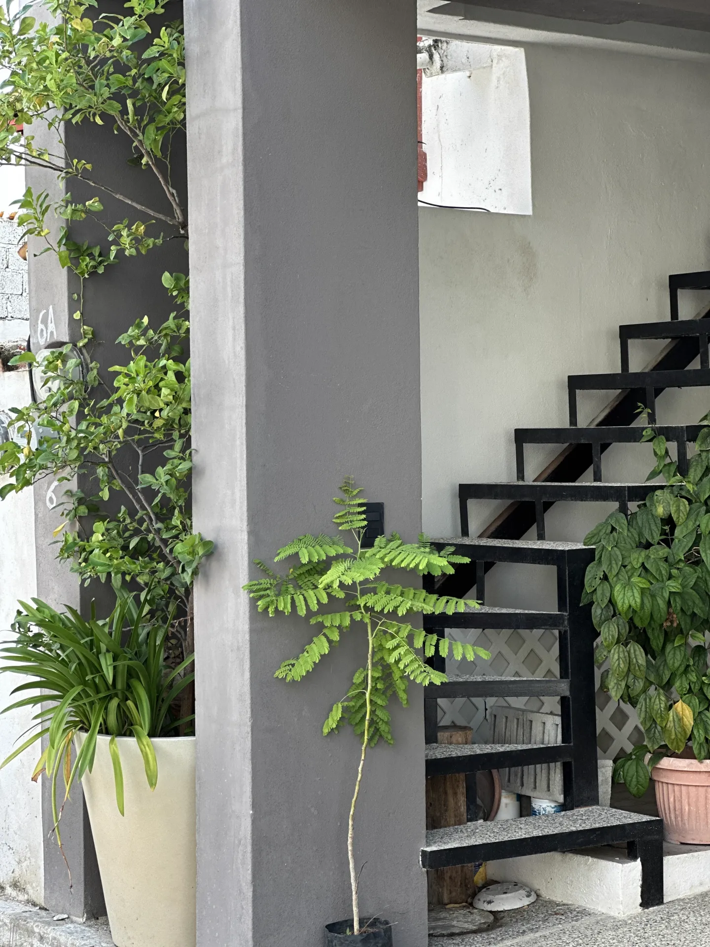 Exterior de Casa Manglar — fachada verde con celosía artesanal en segundo nivel