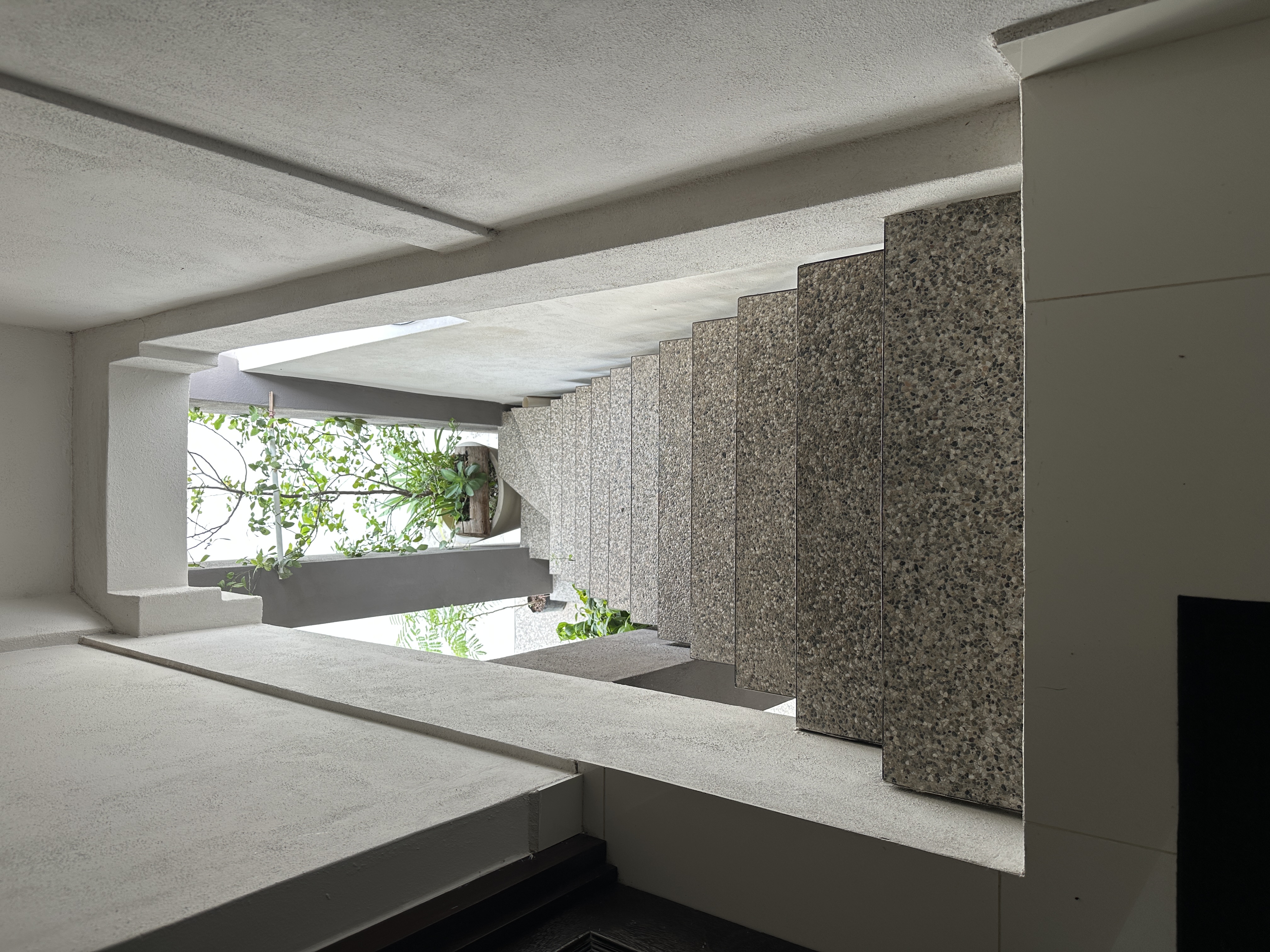 Escalera exterior de Casa Manglar — acceso independiente al segundo nivel con vegetación