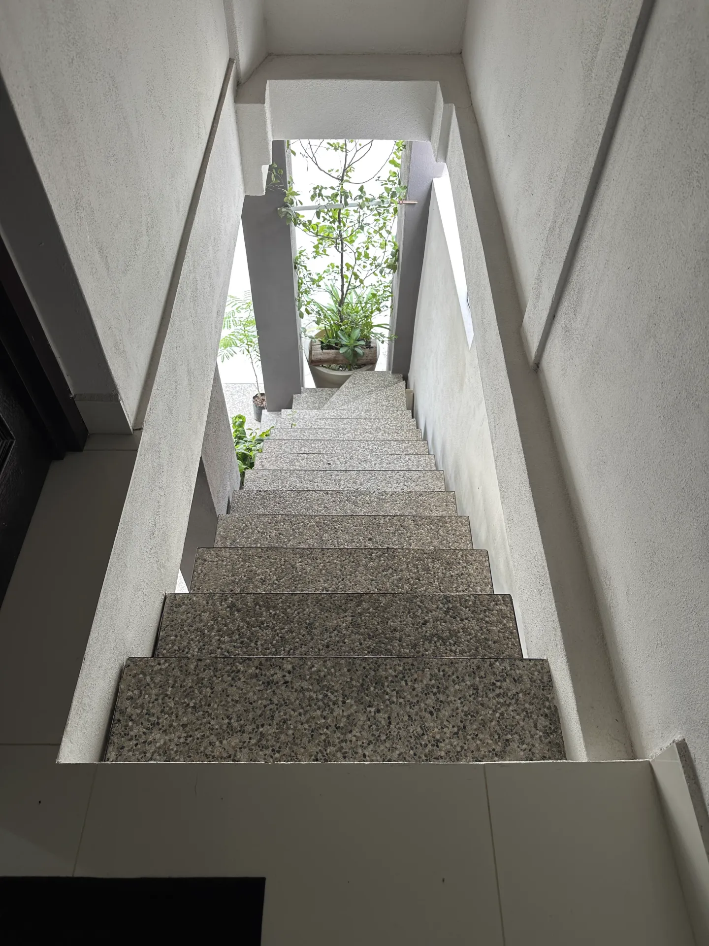 Escalera exterior de Casa Manglar — acceso independiente al segundo nivel con vegetación