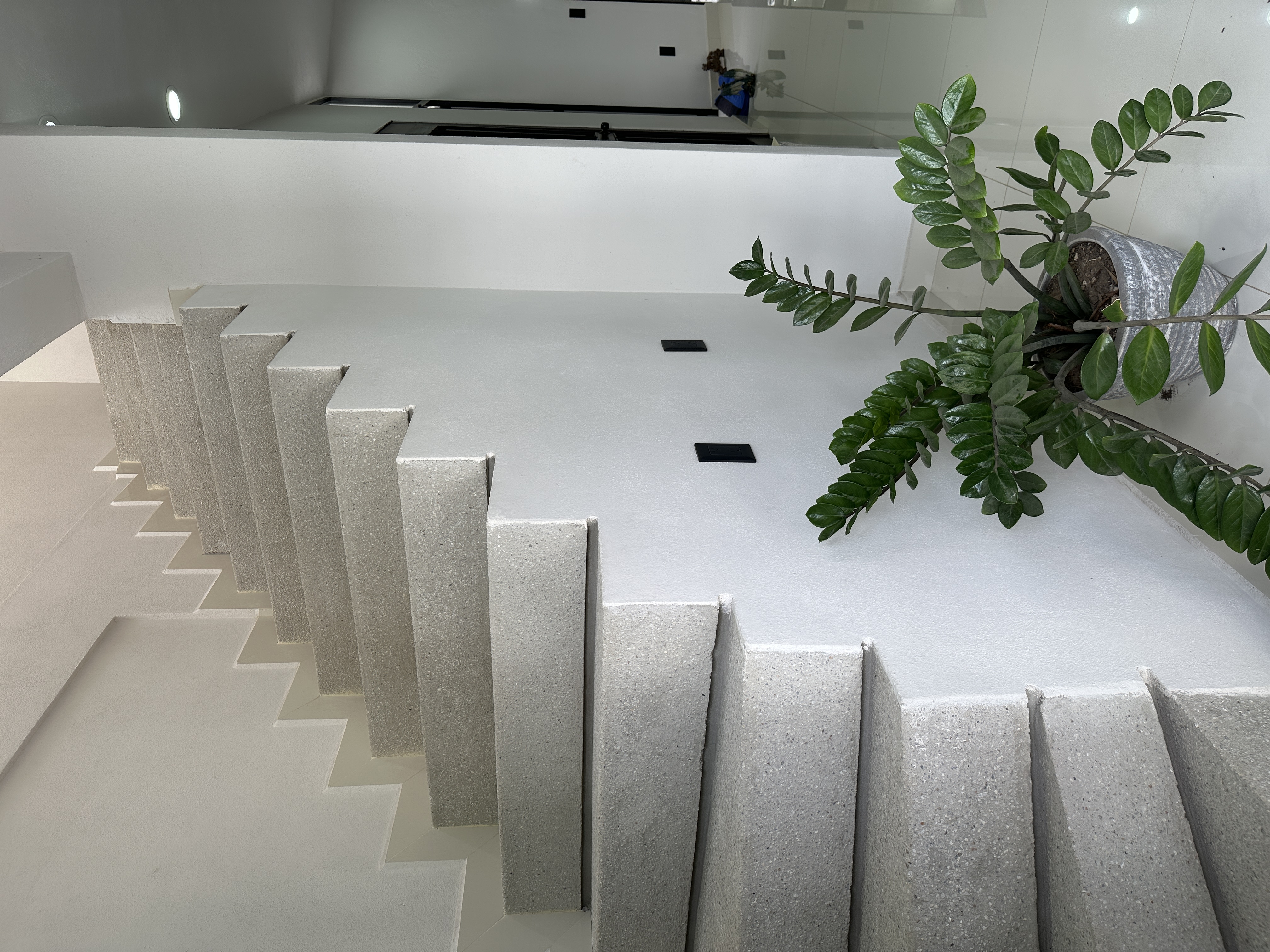 Escalera de terrazzo vista lateral — peldaños de granito y planta zamia — Casa Manglar