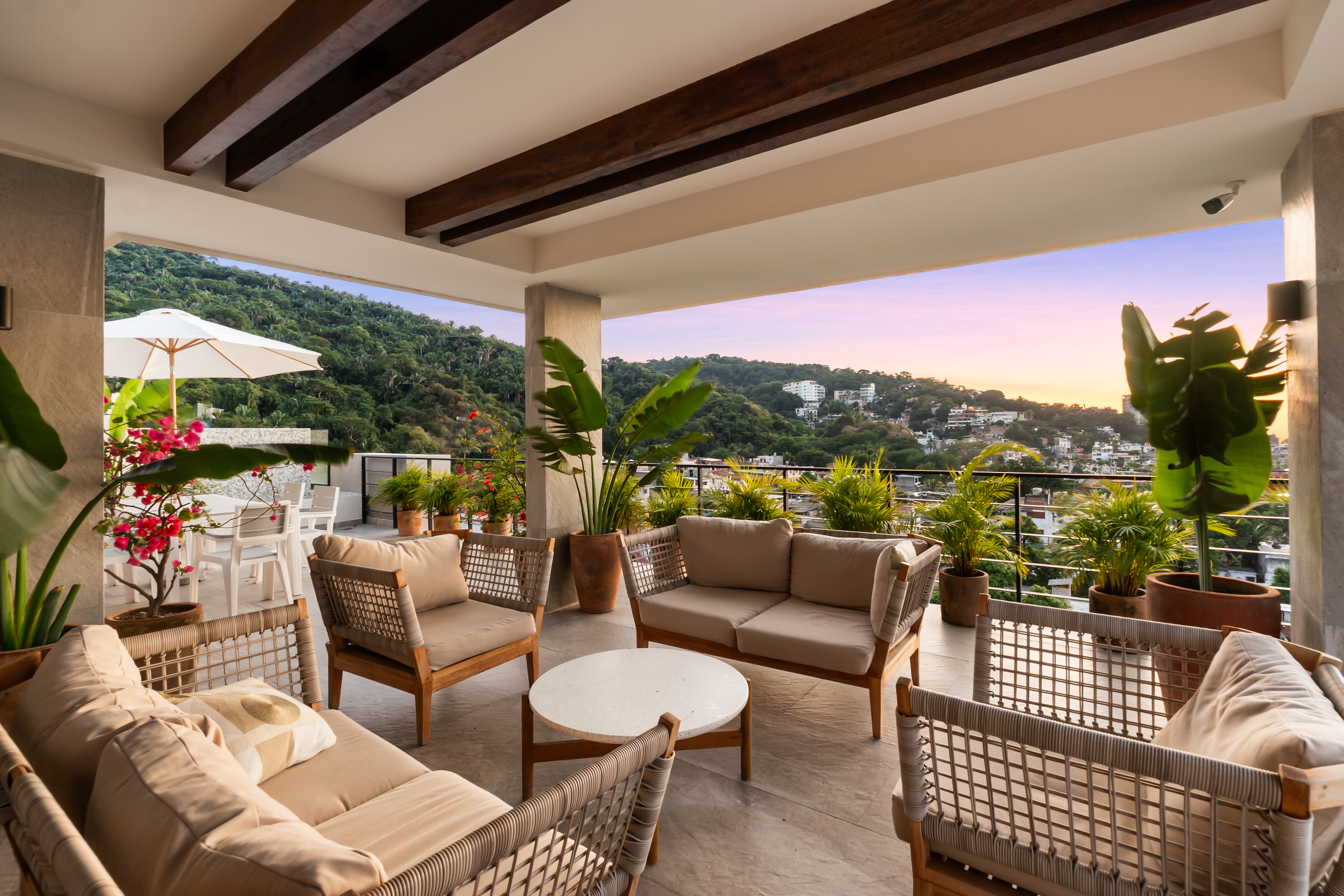 Sky lounge con plantas tropicales y vista panorámica al atardecer — ZUL PV